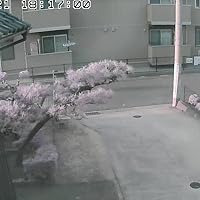 Amazon.co.jp: CS-QR20【サービス終了】(在庫限り販売終了